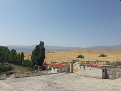 keshavarzi4